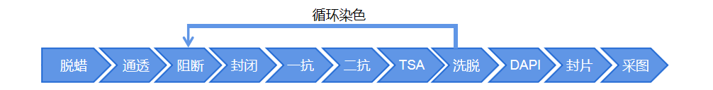 图片3.png冰冻切片.png