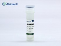  胰岛素溶液(10mg/ml) 