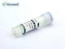  胰岛素溶液(10mg/ml) 