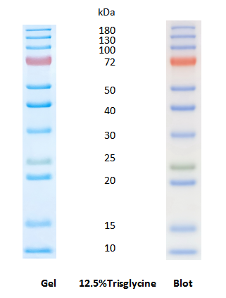 AWB0236图片1.png